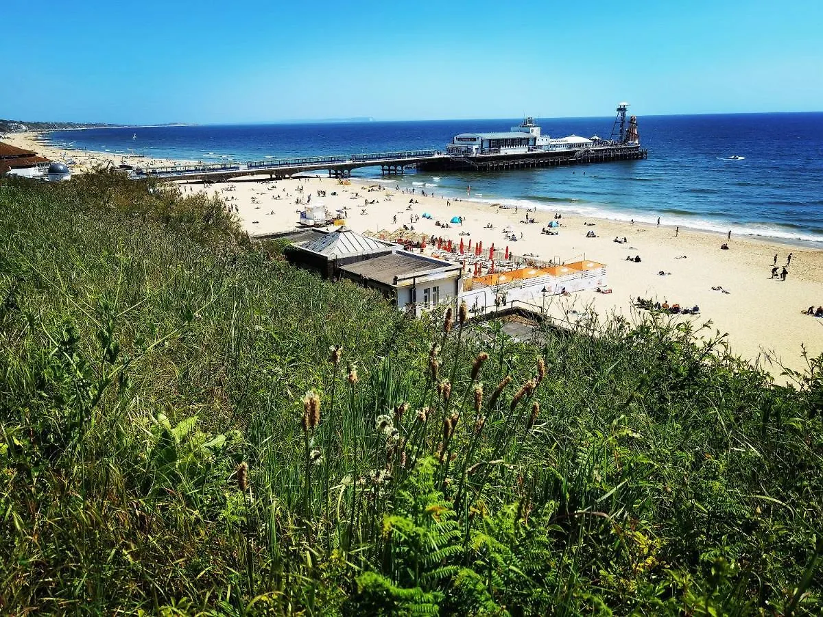Sweet Dreams Of Bournemouth 아파트